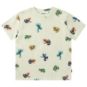 NEW MOLO boy's roxo tee vibrant frogs in off-white